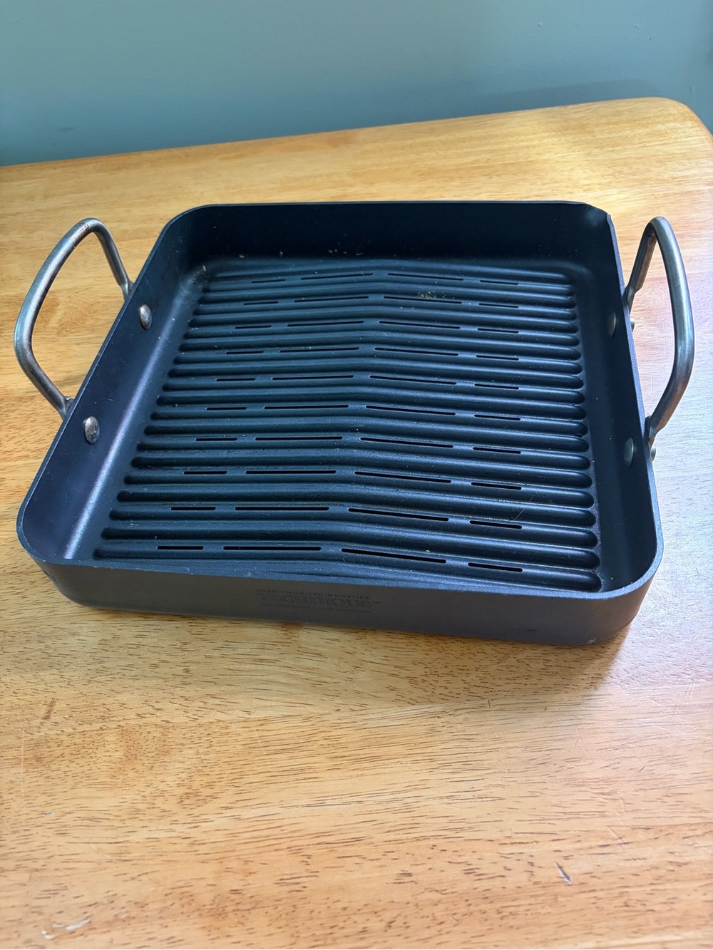 Technique Grill Pan Hard Anodized Nonstick Outdoor BBQ Tray w/ Handles 11"